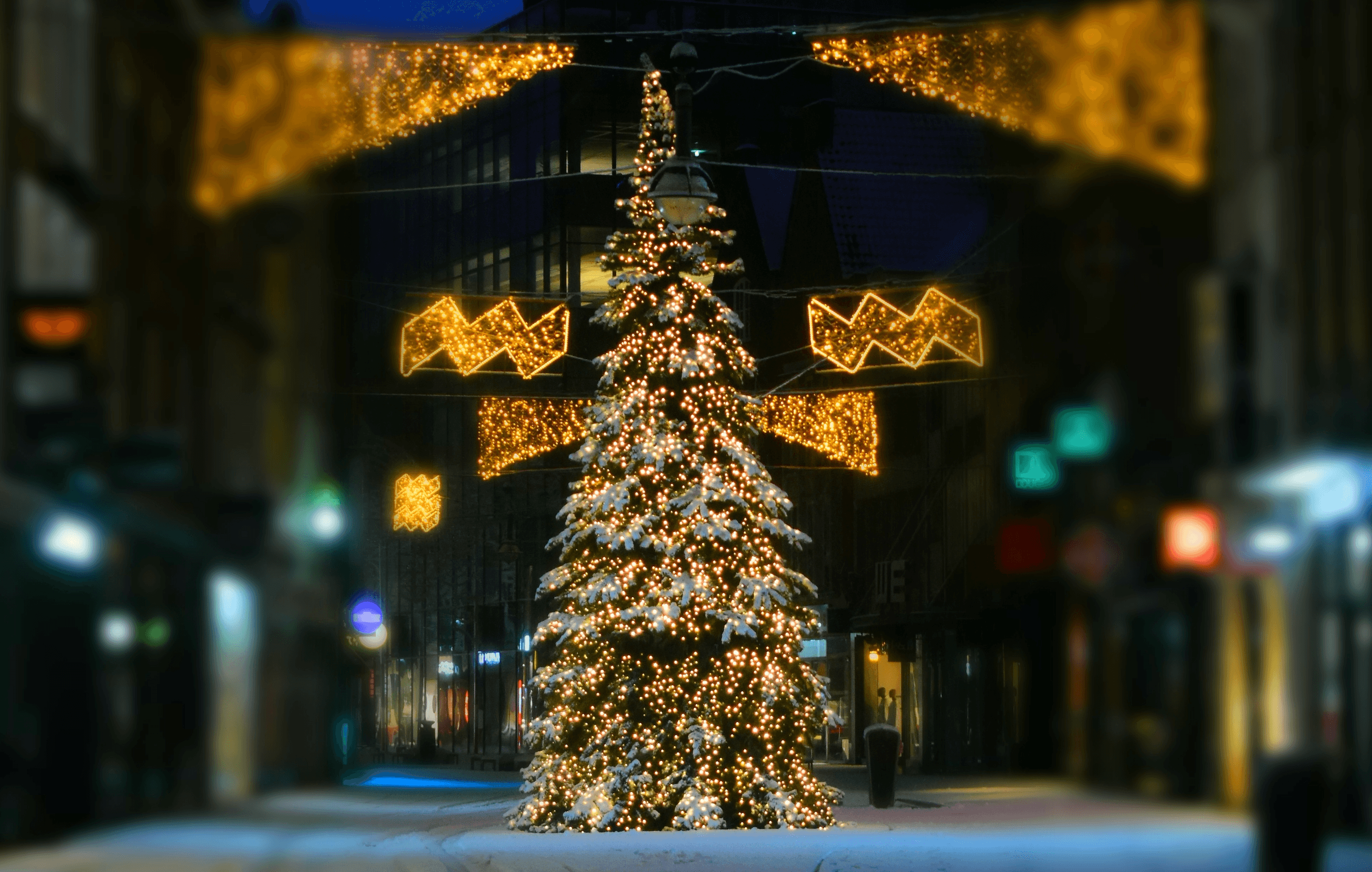 eindhoven christmas tree 2025