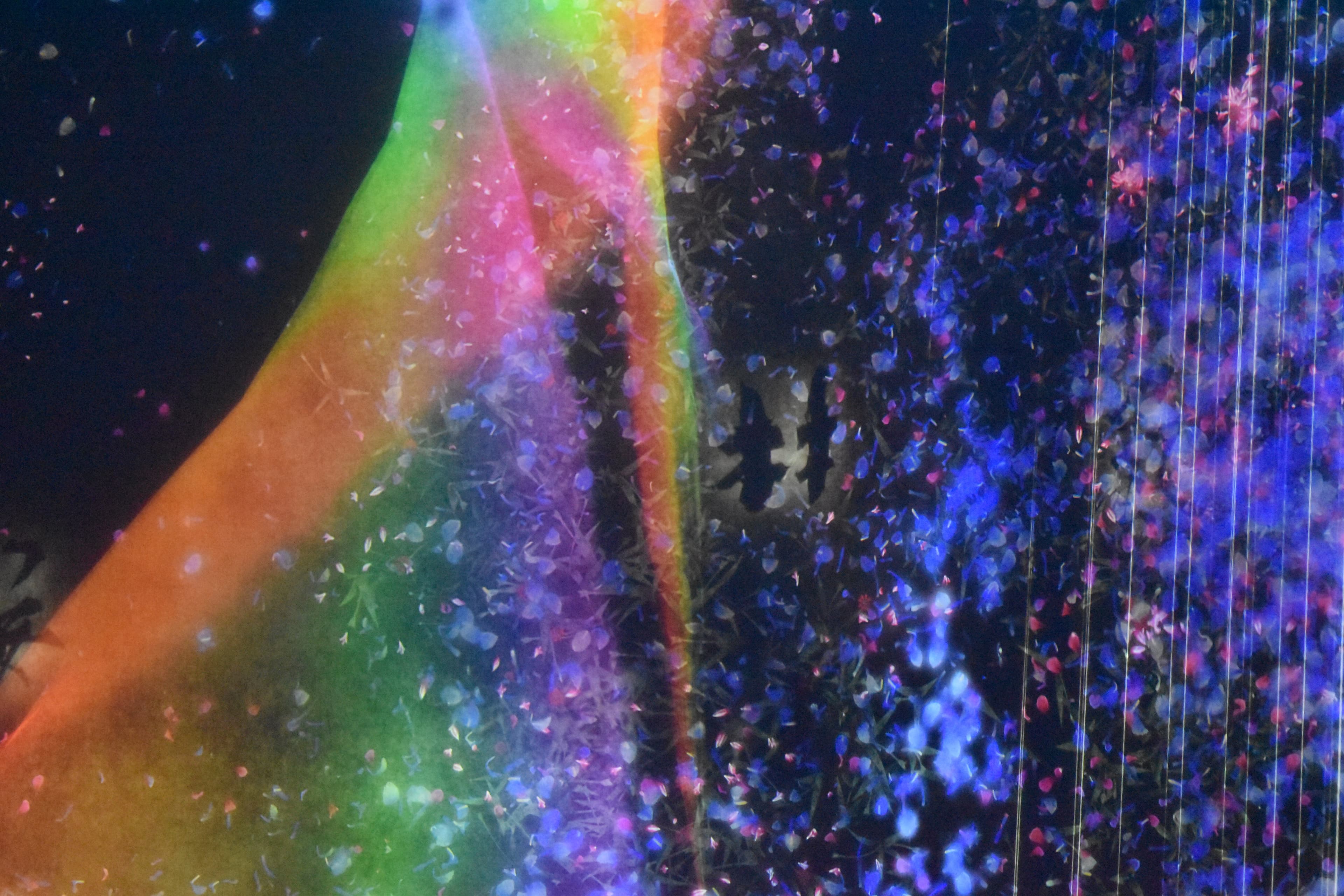 an art gallery with rainbows