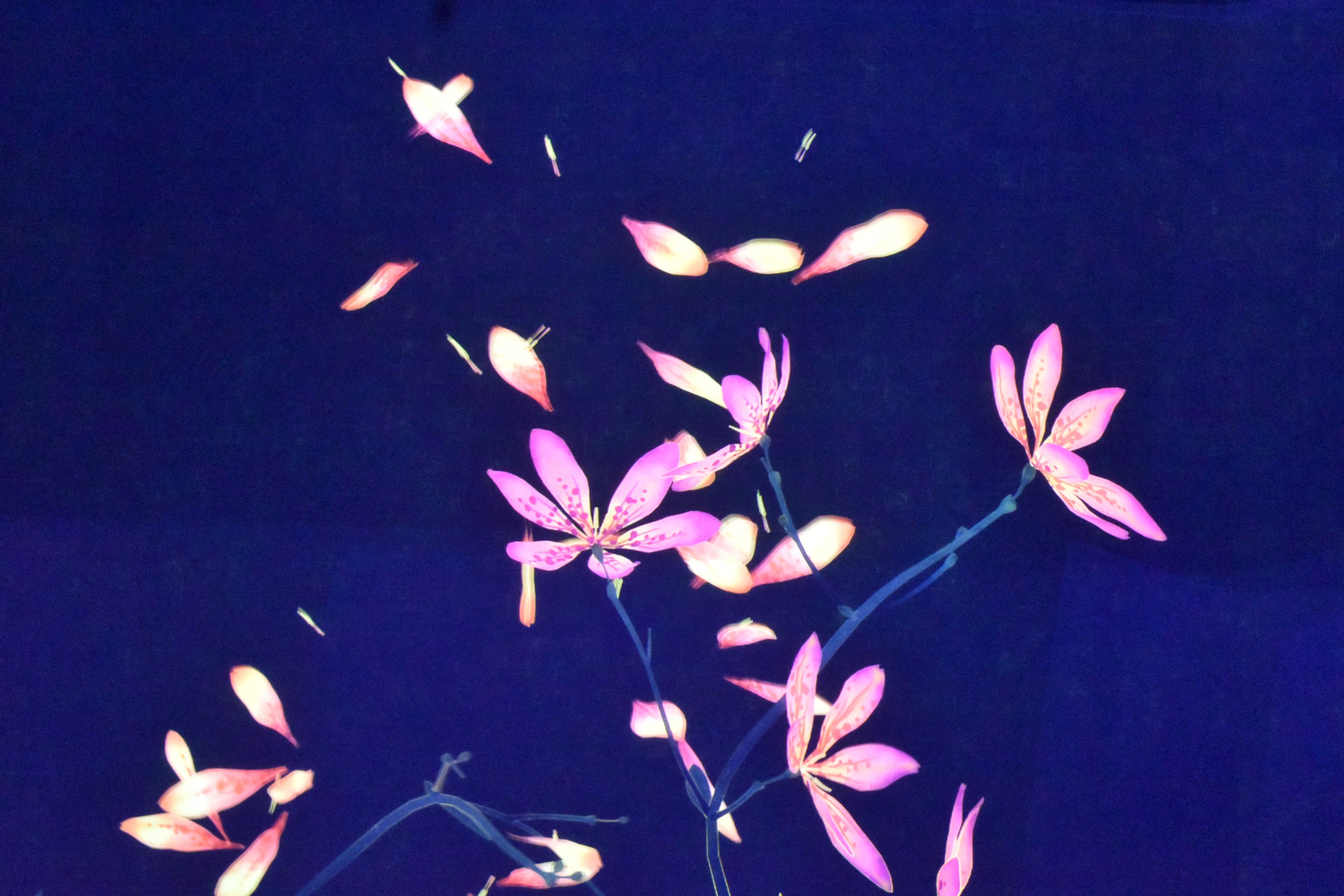 pretty pink flowers on a blue background